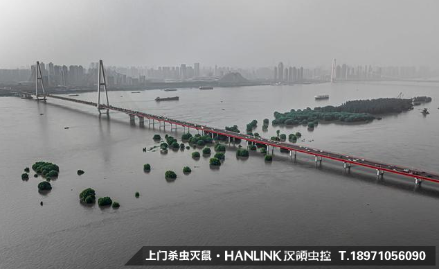 暴雨過(guò)后，蚊蟲(chóng)鼠害帶來(lái)的問(wèn)題影響