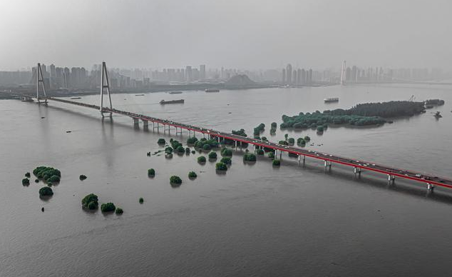 暴雨過后，蚊蟲鼠害帶來的問題影響